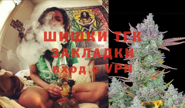 PSILOCYBIN Гусев
