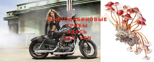 герыч Гусь-Хрустальный
