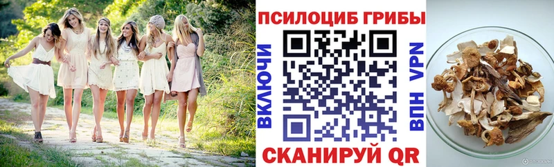 Галлюциногенные грибы GOLDEN TEACHER  Купить где  Питкяранта 